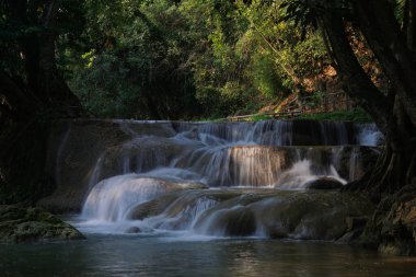 manzara fotoğrafı, yeşil ormandaki küçük şelale