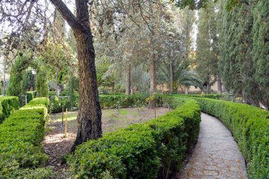 İspanya 'nın Valldemossa köyünün görüntüleri, 2022 sonbaharının başında.