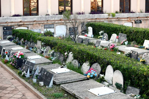 Immagini Del Cimitero Ciudadela Minorca Ornata Fiori Giorni Prima Della — Foto Stock