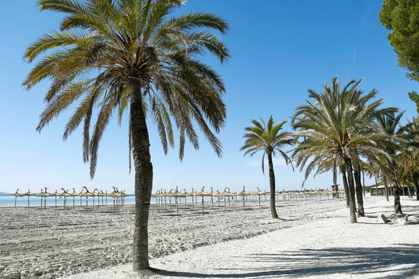 西班牙马约卡Alcudia海滩 — 图库照片