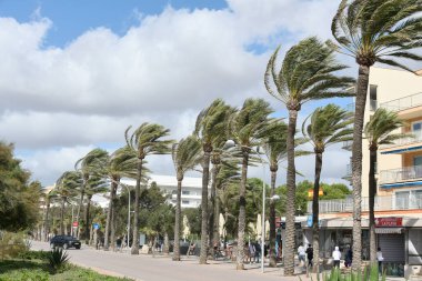 Playa de Palma, Mallorca, 2023 yılının Ekim ayında Aline fırtınasının yol açtığı rüzgarlı bir günde.