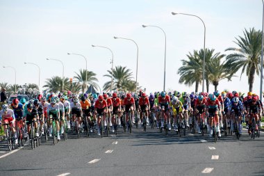 Mallorca yollarındaki bir yarışma sırasında profesyonel bisikletçiler.