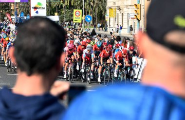 Mallorca yollarındaki bir yarışma sırasında profesyonel bisikletçiler.