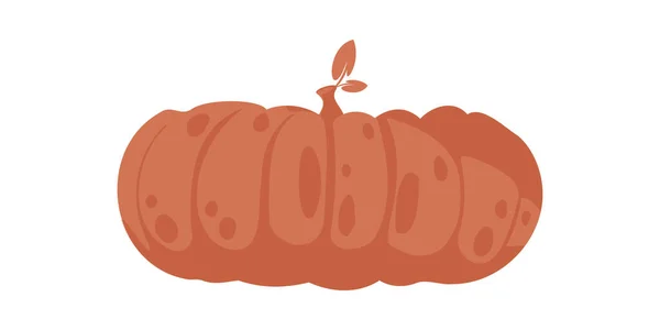 Cette Grande Citrouille Peut Être Utilisée Pour Rendre Les Choses — Image vectorielle