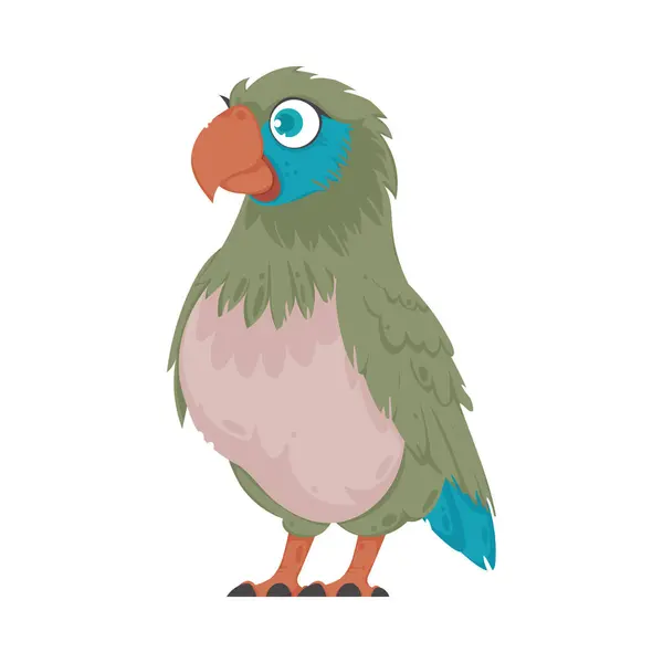 Vacker Fågel Med Ljusa Och Glada Färger Vektor Illustration — Stock vektor
