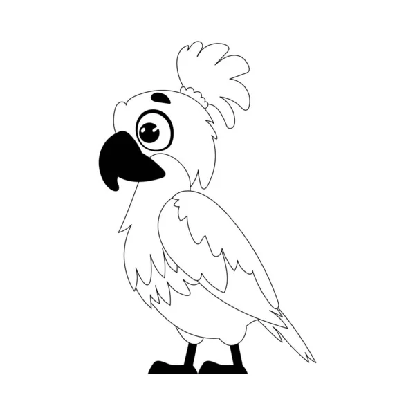 Tento Text Může Být Jednodušší Říci Velký Zábavný Rozkošný Papoušek — Stockový vektor