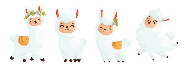 stock vector Set of four cute llamas. White happy and cheerful llama in different poses.