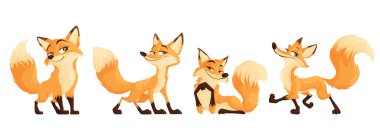 A set of sly foxes. Funny and cunning red fox collection. Animal emotion. Animal character design. clipart