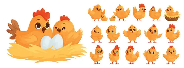 Большой Набор Куриных Семейств Желтые Курицы Курица Вылупляет Яйца Курица Лицензионные Стоковые Иллюстрации