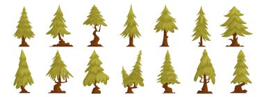 Çam ağaçları seti, yeşil uzun ladin, Avrupa ladini, kozalaklı bitkiler. İlginç şekilli çam ağacı.