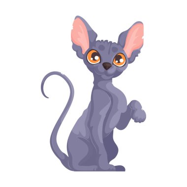 Bir pençesi havada, turuncu gözlü ve büyük pembe kulaklı gri tüysüz bir Sphynx kedinin hoş bir çizimi. Oyuncu Poz Veren Çizgi Film Sphynx Cat