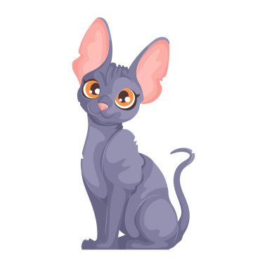 Turuncu gözlü, büyük kulaklı, beyaz arka planda dik oturan gri tüysüz bir Sphynx kedinin vektör çizimi. Oturan Kılsız Gri Kedi Çizimi