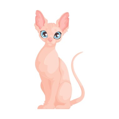 Beyaz arka planda dik oturan, büyük mavi gözlü, tüysüz bir Sphynx kedinin vektör çizimi. Kılsız Sphynx Kedi 'nin tasviri