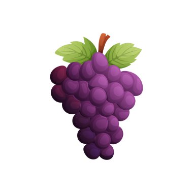 Yeşil yapraklı ve kahverengi saplı bir demet mor üzümün canlı, vektör çizimi. Meyve, yiyecek ve sağlıklı beslenmeyle ilgili tasarımlar için mükemmel..