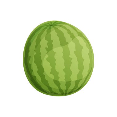 Bu taze, yeşil çizgili bir karpuzun çizimi. Yaz temaları için mükemmel, sağlıklı beslenme ya da gurme tasarımlar için. Beyaz arkaplanda izole.