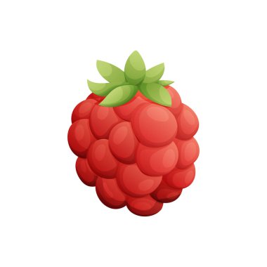 Bu canlı çizgi film çizimi, detaylı doku ve yeşil yapraklı tek bir olgun ahududu içerir. Gıda, sağlık ve yaz temaları ile ilgili tasarımlar için ideal.