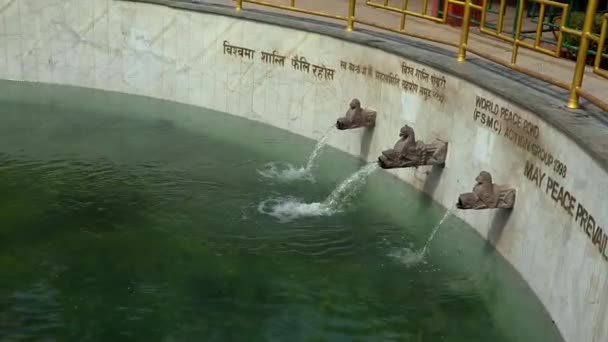 Fluxo Água Dos Bicos Pedra World Peace Pond Swayambhunath Kathmandu — Vídeo de Stock