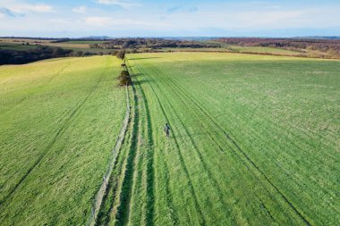 Pewsey, Wiltshire 'da güzel bir kırsal bölge. Sırt çantalı gezgin, yaya yolunda yürüyor, bahar günü.