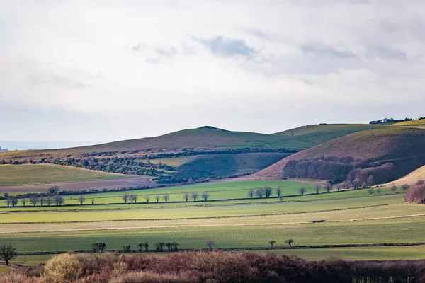 Pewsey Wiltshire Ngiltere Nin Güneyinde Güzel Bir Manzara — Stok fotoğraf