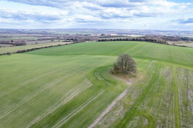 Wittenham Clumps, Didcot, İngiltere 'nin güneyi, gündüz vakti