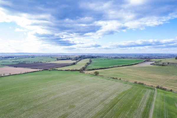 Wittenham Clumps, Didcot, İngiltere 'nin güneyi, gündüz vakti
