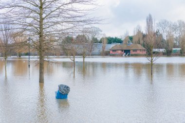 İngiltere 'nin Berkshire, İngiltere' nin Reading bölgesinin Thames of Caversham nehri kıyısında ciddi sel baskınları var.