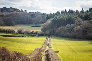 Guildford, Surrey, İngiltere, İngiltere 'deki Pewley patikasının inanılmaz manzarası.
