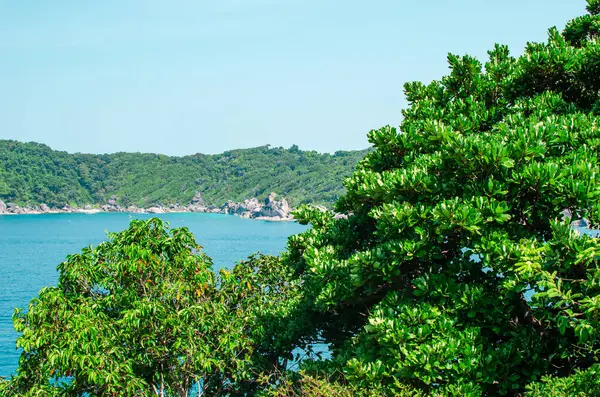 Okyanus mavisi deniz suyunun tropikal adaları ve Similan Adaları 'ndaki ünlü Sail Rock, Phang Nga Tayland doğa manzaralı beyaz kum plajları. Yüksek kalite fotoğraf