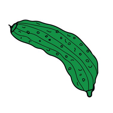 Beyaz üzerinde izole edilmiş salatalık tasviri.