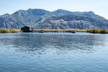 Güneşli bir yaz gününde Türkiye 'nin Dalyan Nehri üzerindeki kayalar, sazlıklar ve su bitkileri. Nehir ya da su manzarası