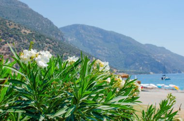 Oludeniz 'deki Mavi Göl, Fethiye, Türkiye