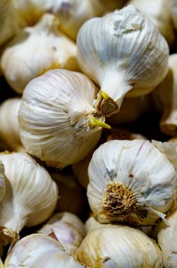 Pazarda beyaz aromatik sarımsak