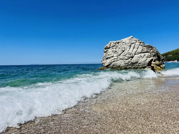 Arnavutluk 'taki Rocky plajı ve İyon Denizi' nin kristal turkuaz suyu. Çiçeklerle sakin ve rahatlatıcı bir manzara. Yaz tatili konsepti. Boşluğu kopyala.