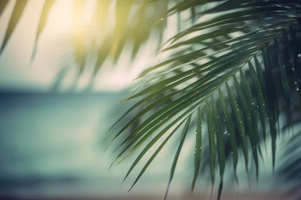 Generative Ilustracja Natura Zielony Liść Palmy Tropikalnej Plaży Bokeh Światło — Zdjęcie stockowe