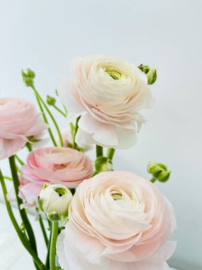 Beyaz arka planda izole edilmiş bir buket taze çiçek. Boşluğu kopyala, sevgililer günü kartı