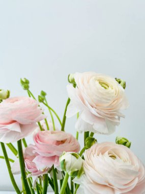 Beyaz arka planda izole edilmiş bir buket taze çiçek. Boşluğu kopyala, sevgililer günü kartı