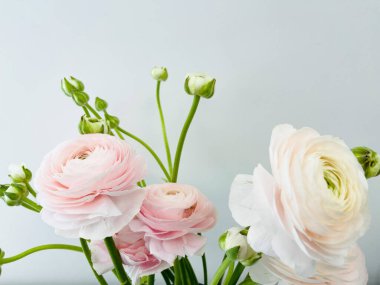 Beyaz arka planda izole edilmiş bir buket taze çiçek. Boşluğu kopyala, sevgililer günü kartı