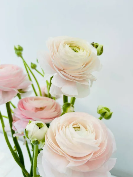 Kytice Čerstvých Květin Zavřít Izolované Bílém Pozadí Kopírovat Mezeru Valentýnská — Stock fotografie
