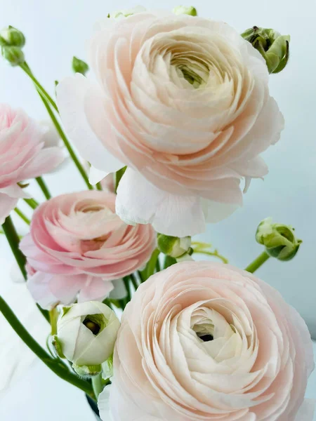 Kytice Čerstvých Květin Zavřít Izolované Bílém Pozadí Kopírovat Mezeru Valentýnská — Stock fotografie