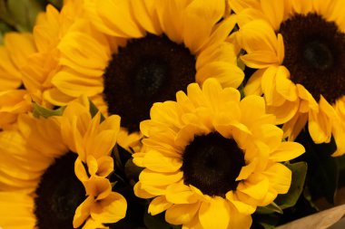 Bir vazoda duran güzel bir buket ayçiçeği. Doğum günü için buket, düğün, kırsal tarzda. kopyalama alanı. Seçici odaklanma. Yatay fotoğraf. 