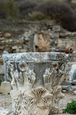 Efes 'in antik mimari ve harabelerinin elementleri, İzmir. kopyalama alanı. Seyahat konsepti. Dikey fotoğraf. 