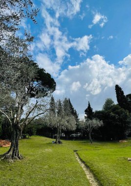 Güneşli bir günde bahar doğasının güzel bir arkaplan görüntüsü. Tiran, Arnavutluk. Dikey fotoğraf 