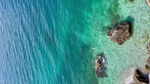 阿尔巴尼亚爱奥尼亚海的岩石海滩和水晶绿松石水 花带来的宁静和悠闲的景色 暑假概念背景 复制空间 垂直高质量Fullhd镜头 — 图库视频影像