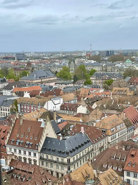Strasbourg katedralinden panoramik manzara. Alsace. Fransa çatısı. Seyahat kavramı. 