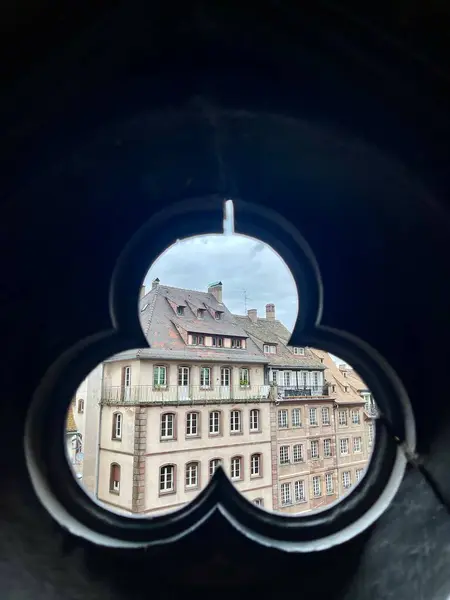 Strasbourg katedralinden panoramik manzara. Alsace. Fransa çatısı. Seyahat kavramı. 