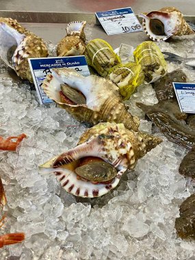 Olhao, Algarve 'deki markette satılık deniz ürünlerini kapatın. Portekiz . 
