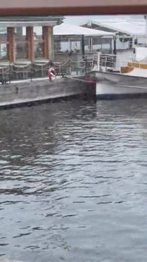 Stockholm, İsveç, güzel apartmanlar ve gri günde turist tekneleri. Gerçek zamanlı video. 4 k, Dikey