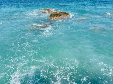 Arnavutluk 'taki Rocky plajı ve İyon Denizi' nin kristal turkuaz suyu. Çiçeklerle sakin ve rahatlatıcı bir manzara. Yaz tatili konsepti. Boşluğu kopyala.