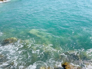 Arnavutluk 'taki Rocky plajı ve İyon Denizi' nin kristal turkuaz suyu. Çiçeklerle sakin ve rahatlatıcı bir manzara. Yaz tatili konsepti. Boşluğu kopyala.