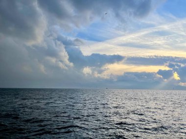 İzmir 'deki Türk Körfezi üzerinde uçan martılar. Boşluğu kopyala .